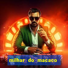 milhar do macaco que mais saem no jogo do bicho