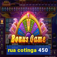 rua cotinga 450