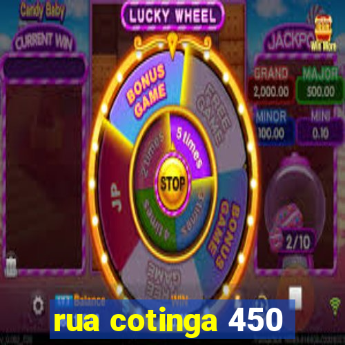 rua cotinga 450