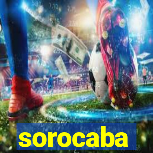 sorocaba popula莽茫o 2024