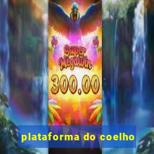 plataforma do coelho