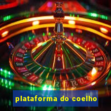 plataforma do coelho