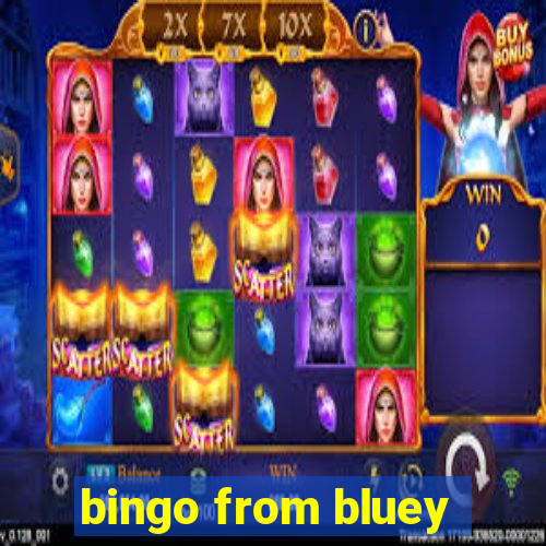 bingo from bluey