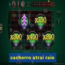 cachorro atrai raio