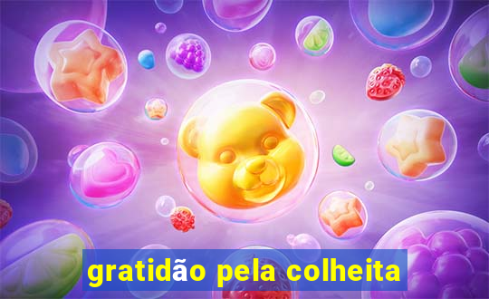 gratidão pela colheita