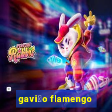 gavi茫o flamengo