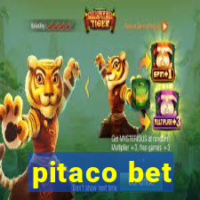 pitaco bet