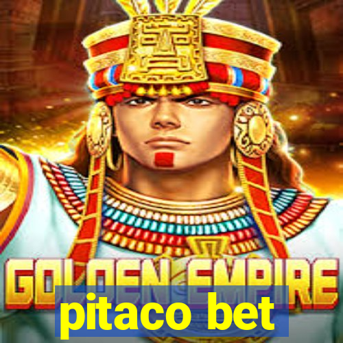 pitaco bet