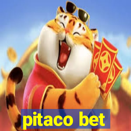 pitaco bet