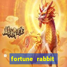 fortune rabbit conta demo Informational