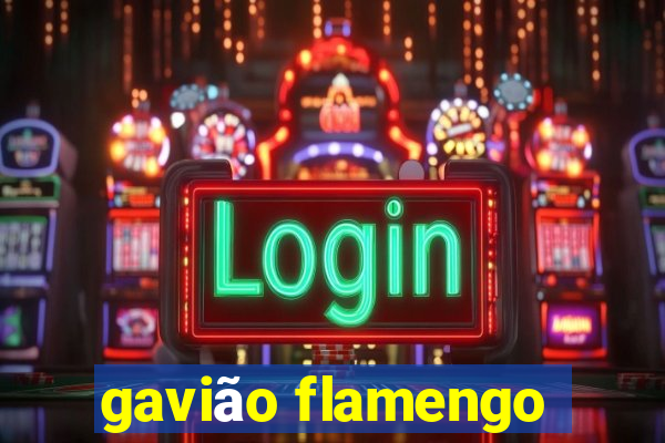 gavião flamengo