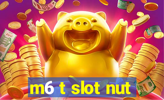 m6 t slot nut