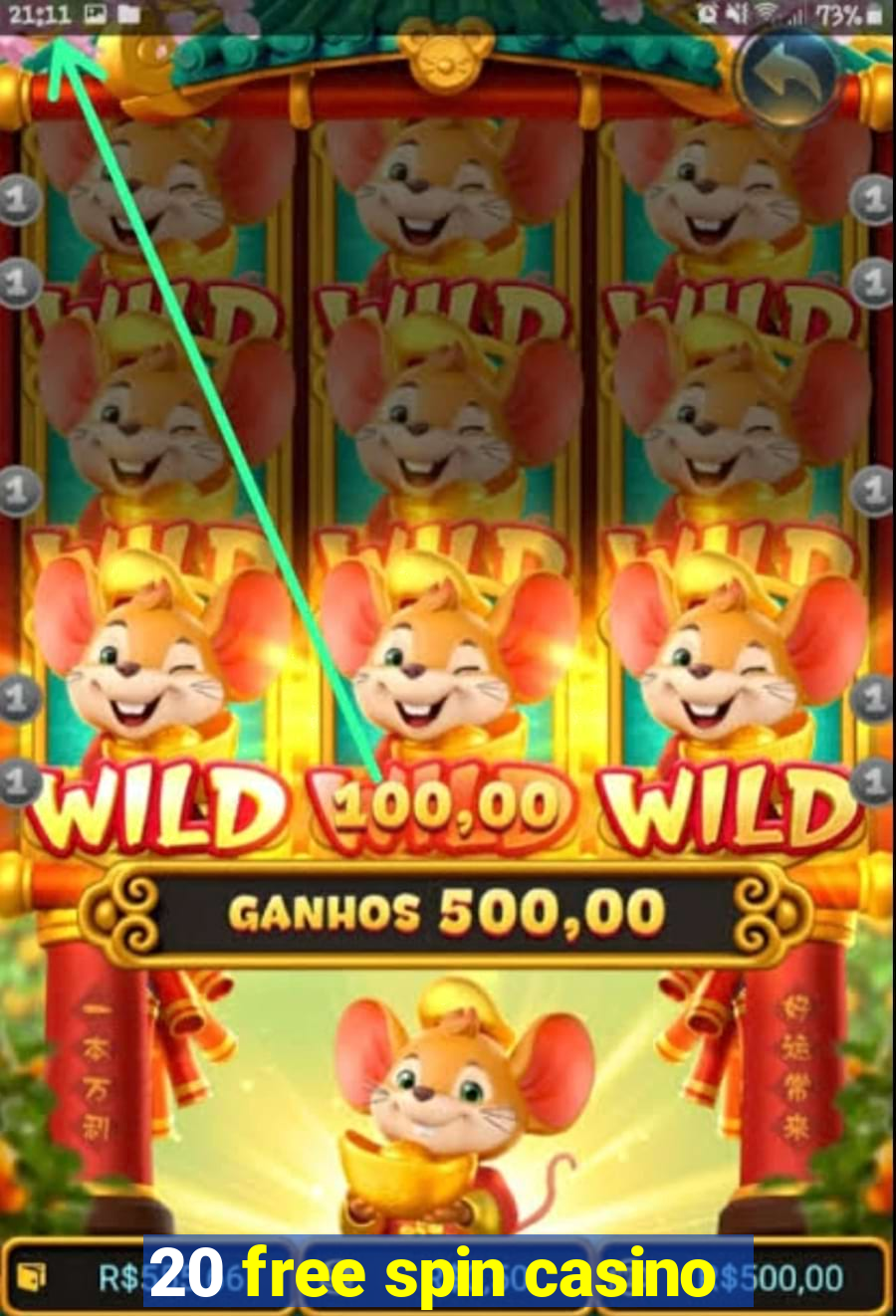 20 free spin casino