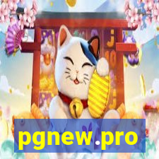 pgnew.pro