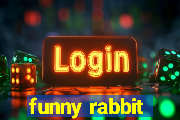 funny rabbit