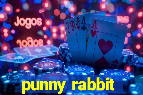 punny rabbit