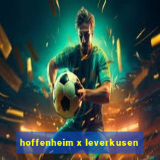 hoffenheim x leverkusen