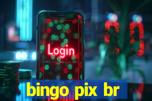 bingo pix br