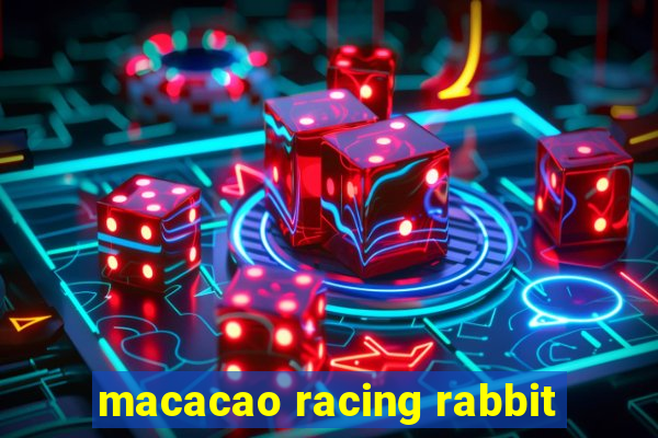 macacao racing rabbit