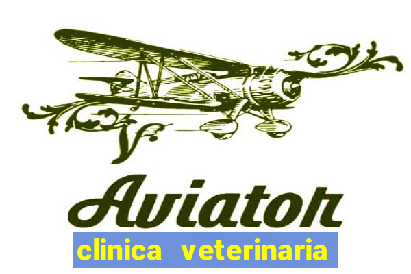 clinica veterinaria cuidar betim