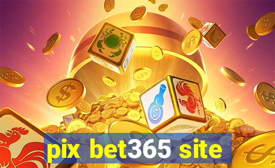 pix bet365 site