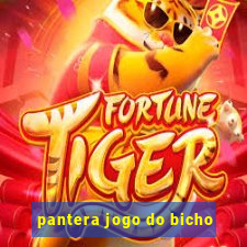 pantera jogo do bicho