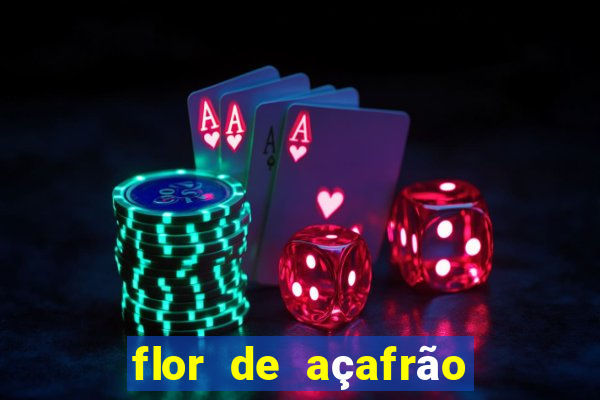 flor de açafrão stardew valley