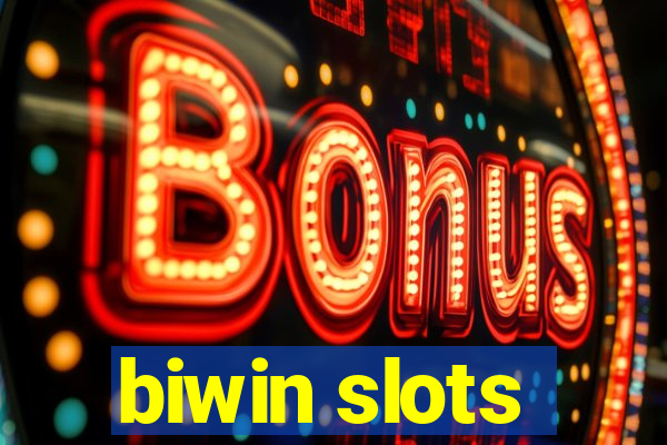 biwin slots