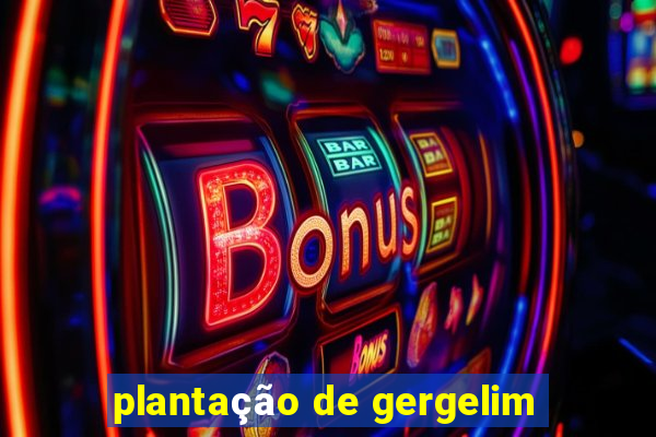 plantação de gergelim