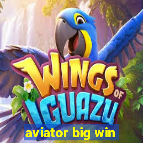 aviator big win