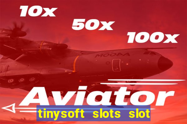 tinysoft slots slot machines & casino games