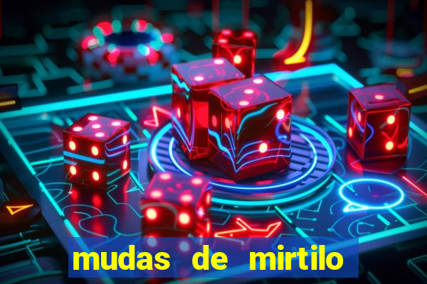 mudas de mirtilo em porto alegre