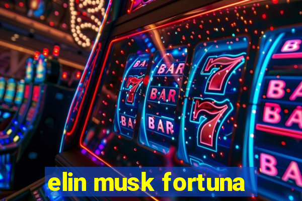 elin musk fortuna