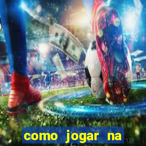 como jogar na lotinha do jogo do bicho