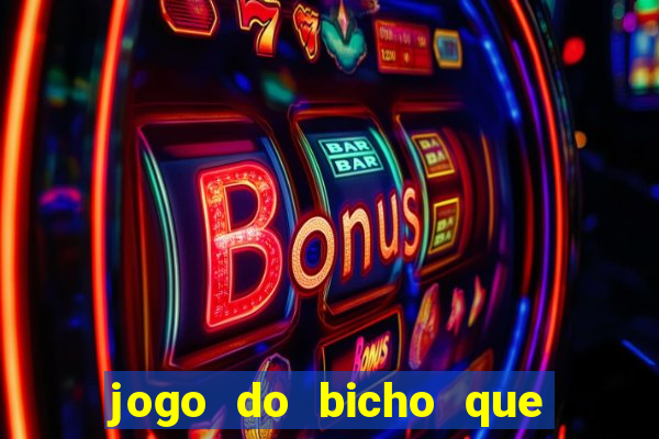 jogo do bicho que da dinheiro