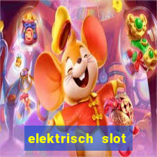 elektrisch slot houten poort