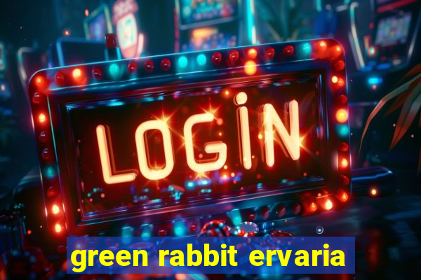 green rabbit ervaria