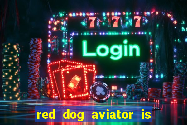 red dog aviator is real or fake