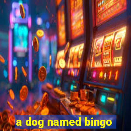 a dog named bingo