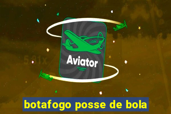 botafogo posse de bola