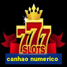 canhao numerico