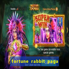 fortune rabbit paga mesmo Informational