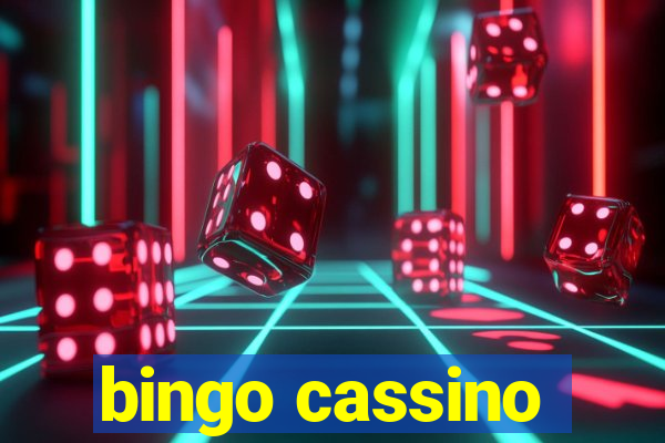 bingo cassino