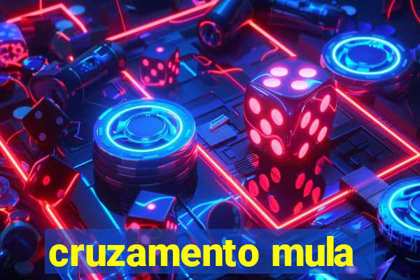 cruzamento mula