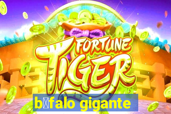 b煤falo gigante