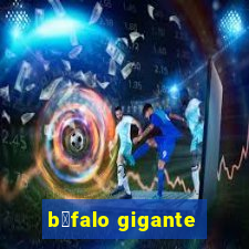 b煤falo gigante