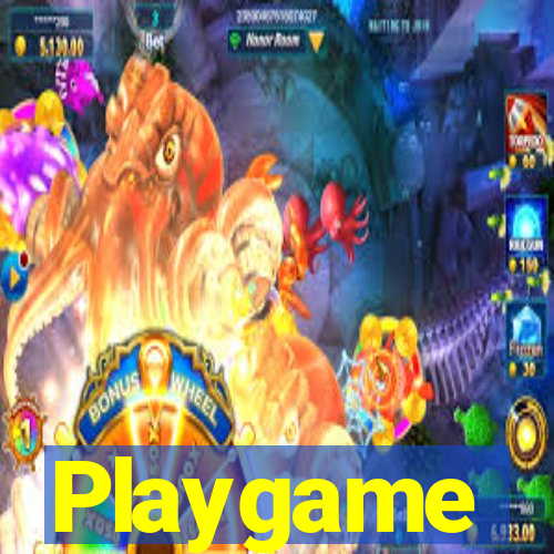 Playgame