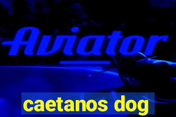 caetanos dog