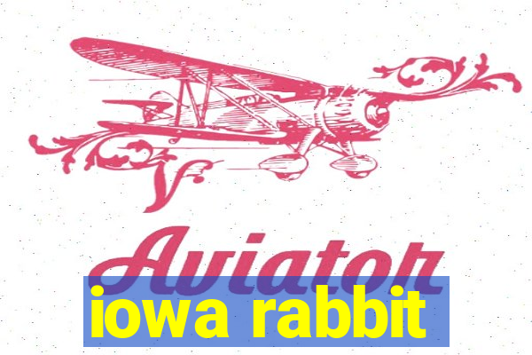 iowa rabbit