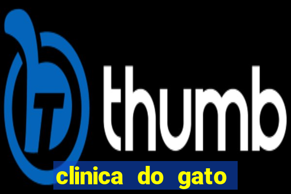 clinica do gato porto alegre